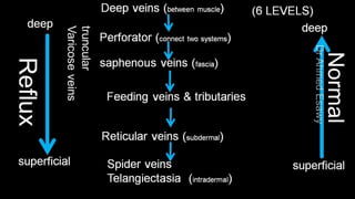 Duplex peripheral veins