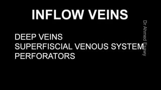 Duplex peripheral veins