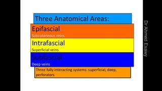Duplex peripheral veins