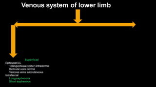 Duplex peripheral veins