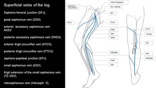 Duplex peripheral veins