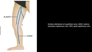 Duplex peripheral veins
