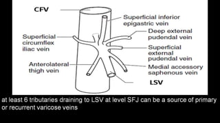 Duplex peripheral veins