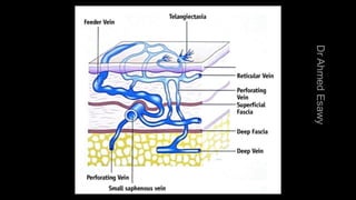 Duplex peripheral veins