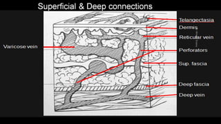 Duplex peripheral veins