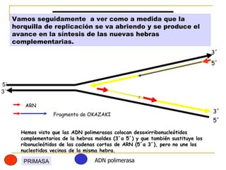 Duplicación de ADN y Transcripcion de ADN para formar ARN | PPT