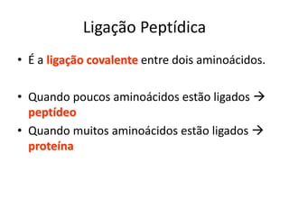 Ligação Peptídica
• É a ligação covalente entre dois aminoácidos.
• Quando poucos aminoácidos estão ligados 
peptídeo
• Quando muitos aminoácidos estão ligados 
proteína
 