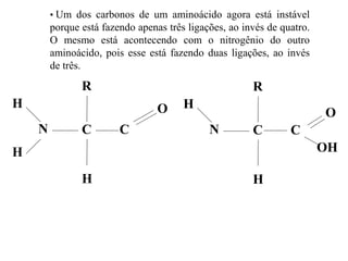 N
H
R
C
OH
H
N
H
R
C
OH
O
H
CC
• Um dos carbonos de um aminoácido agora está instável
porque está fazendo apenas três ligações, ao invés de quatro.
O mesmo está acontecendo com o nitrogênio do outro
aminoácido, pois esse está fazendo duas ligações, ao invés
de três.
 