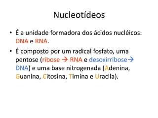Nucleotídeos
• É a unidade formadora dos ácidos nucléicos:
DNA e RNA.
• É composto por um radical fosfato, uma
pentose (ribose  RNA e desoxirribose
DNA) e uma base nitrogenada (Adenina,
Guanina, Citosina, Timina e Uracila).
 