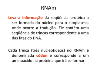 RNAm
Leva a informação da seqüência protéica a
ser formada do núcleo para o citoplasma,
onde ocorre a tradução. Ele contém uma
seqüência de trincas correspondente a uma
das fitas do DNA.
Cada trinca (três nucleotídeos) no RNAm é
denominada códon e corresponde a um
aminoácido na proteína que irá se formar
 