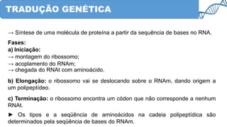 TRADUÇÃO GENÉTICA
→ Síntese de uma molécula de proteína a partir da sequência de bases no RNA.
Fases:
a) Iniciação:
→ montagem do ribossomo;
→ acoplamento do RNAm;
→ chegada do RNAt com aminoácido.
b) Elongação: o ribossomo vai se deslocando sobre o RNAm, dando origem a
um polipeptídeo.
c) Terminação: o ribossomo encontra um códon que não corresponde a nenhum
RNAt.
► Os tipos e a seqüência de aminoácidos na cadeia polipeptídica são
determinados pela seqüência de bases do RNAm.
 