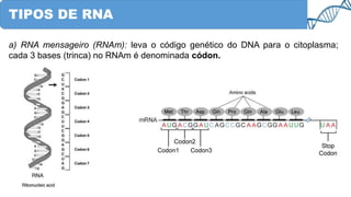 TIPOS DE RNA
a) RNA mensageiro (RNAm): leva o código genético do DNA para o citoplasma;
cada 3 bases (trinca) no RNAm é denominada códon.
 
