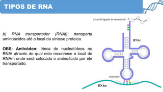 TIPOS DE RNA
b) RNA transportador (RNAt): transporta
aminoácidos até o local da síntese proteica.
OBS: Anticódon: trinca de nucleotídeos no
RNAt através do qual este reconhece o local do
RNAm onde será colocado o aminoácido por ele
transportado.
 