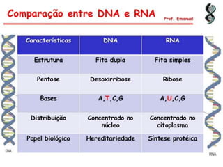Duplicação, transcrição e tradução