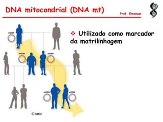 Duplicação, transcrição e tradução