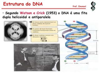 Duplicação, transcrição e tradução