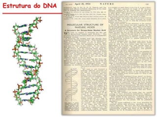 Duplicação, transcrição e tradução