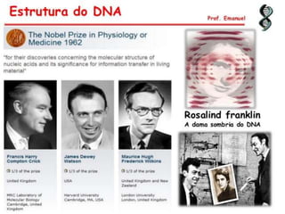 Duplicação, transcrição e tradução