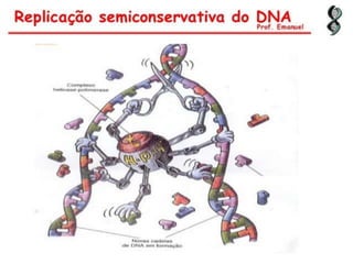 Duplicação, transcrição e tradução