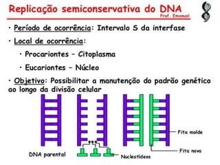 Duplicação, transcrição e tradução
