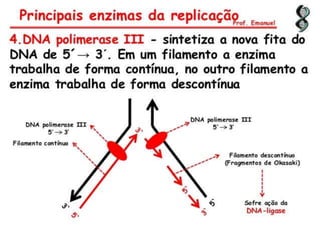 Duplicação, transcrição e tradução