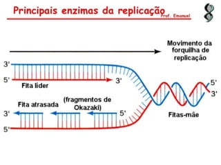 Duplicação, transcrição e tradução