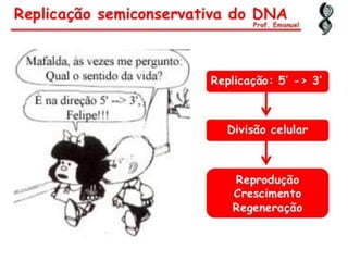 Duplicação, transcrição e tradução