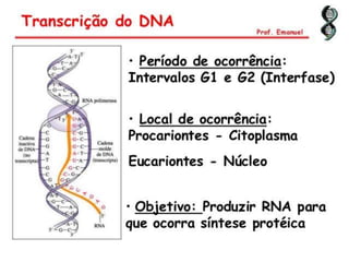 Duplicação, transcrição e tradução