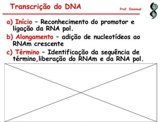 Duplicação, transcrição e tradução