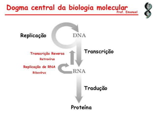 Duplicação, transcrição e tradução