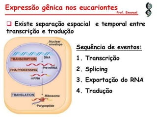Duplicação, transcrição e tradução