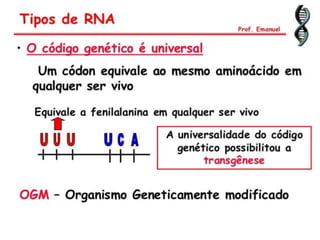 Duplicação, transcrição e tradução