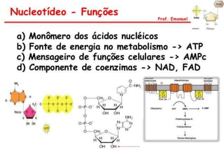 Duplicação, transcrição e tradução