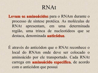 RNAt
Levam os aminoácidos para o RNAm durante o
processo de síntese protéica. As moléculas de
RNAt apresentam, em uma determinada
região, uma trinca de nucleotídeos que se
destaca, denominada anticódon.
anticódon
É através do anticódon que o RNAt reconhece o
local do RNAm onde deve ser colocado o
aminoácido por ele transportado. Cada RNAt
carrega em aminoácido específico, de acordo
específico
com o anticódon que possui

 