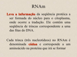 RNAm
Leva a informação da seqüência protéica a
ser formada do núcleo para o citoplasma,
onde ocorre a tradução. Ele contém uma
seqüência de trincas correspondente a uma
das fitas do DNA.
Cada trinca (três nucleotídeos) no RNAm é
denominada códon e corresponde a um
aminoácido na proteína que irá se formar

 