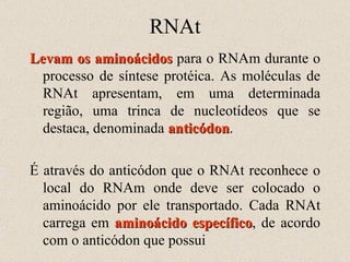 RNAt Levam os aminoácidos  para o RNAm durante o processo de síntese protéica. As moléculas de RNAt apresentam, em uma determinada região, uma trinca de nucleotídeos que se destaca, denominada  anticódon . É através do anticódon que o RNAt reconhece o local do RNAm onde deve ser colocado o aminoácido por ele transportado. Cada RNAt carrega em  aminoácido específico , de acordo com o anticódon que possui 