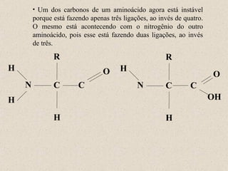 N H R C O H H N H R C OH O H C C Um dos carbonos de um aminoácido agora está instável porque está fazendo apenas três ligações, ao invés de quatro. O mesmo está acontecendo com o nitrogênio do outro aminoácido, pois esse está fazendo duas ligações, ao invés de três. 