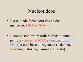 Nucleotídeos É a unidade formadora dos ácidos nucléicos:  DNA  e  RNA . É composto por um radical fosfato, uma pentose ( ribose    RNA  e  desoxirribose   DNA ) e uma base nitrogenada ( A denina,  G uanina,  C itosina,  T imina e  U racila). 
