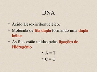 DNA Ácido Desoxirribonucléico. Molécula de  fita dupla  formando uma  dupla hélice As fitas estão unidas pelas  ligações de Hidrogênio A = T C = G 