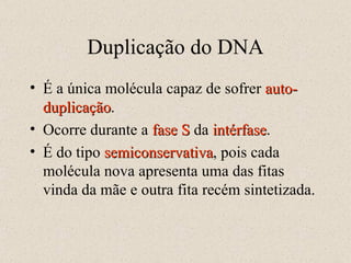 Duplicação do DNA É a única molécula capaz de sofrer  auto-duplicação . Ocorre durante a  fase S  da  intérfase . É do tipo  semiconservativa , pois cada molécula nova apresenta uma das fitas vinda da mãe e outra fita recém sintetizada. 