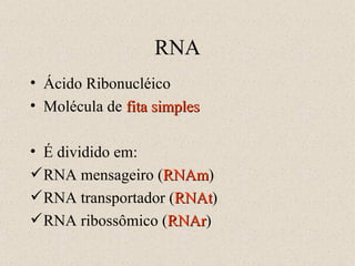 RNA Ácido Ribonucléico Molécula de  fita simples É dividido em: RNA mensageiro ( RNAm ) RNA transportador ( RNAt ) RNA ribossômico ( RNAr ) 