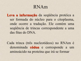 RNAm Leva a informação  da seqüência protéica a ser formada do núcleo para o citoplasma, onde ocorre a tradução. Ele contém uma seqüência de trincas correspondente a uma das fitas do DNA.  Cada trinca (três nucleotídeos) no RNAm é denominada  códon  e corresponde a um aminoácido na proteína que irá se formar 