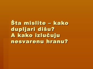 Šta mislite – kakoŠta mislite – kako
dupljari dišu?dupljari dišu?
A kako izlučujuA kako izlučuju
nesvarenu hranu?nesvarenu hranu?
 
