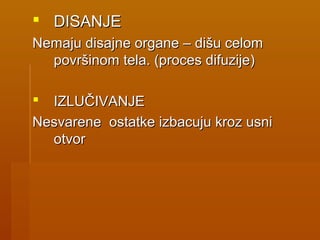  DISANJEDISANJE
Nemaju diNemaju disajsajne organe – dišu celomne organe – dišu celom
površinom tela. (proces difuzije)površinom tela. (proces difuzije)
 IZLUČIVANJEIZLUČIVANJE
Nesvarene ostatke izbacuju kroz usniNesvarene ostatke izbacuju kroz usni
otvorotvor
 