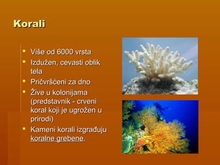 KoraliKorali
 Više od 6000 vrstaViše od 6000 vrsta
 Izdužen, cevasti oblikIzdužen, cevasti oblik
telatela
 Pričvršćeni za dnoPričvršćeni za dno
 Žive u kolonijamaŽive u kolonijama
(predstavnik - crveni(predstavnik - crveni
koral koji je ugrožen ukoral koji je ugrožen u
prirodi)prirodi)
 Kameni korali izgrađujuKameni korali izgrađuju
koralne grebenekoralne grebene..
 