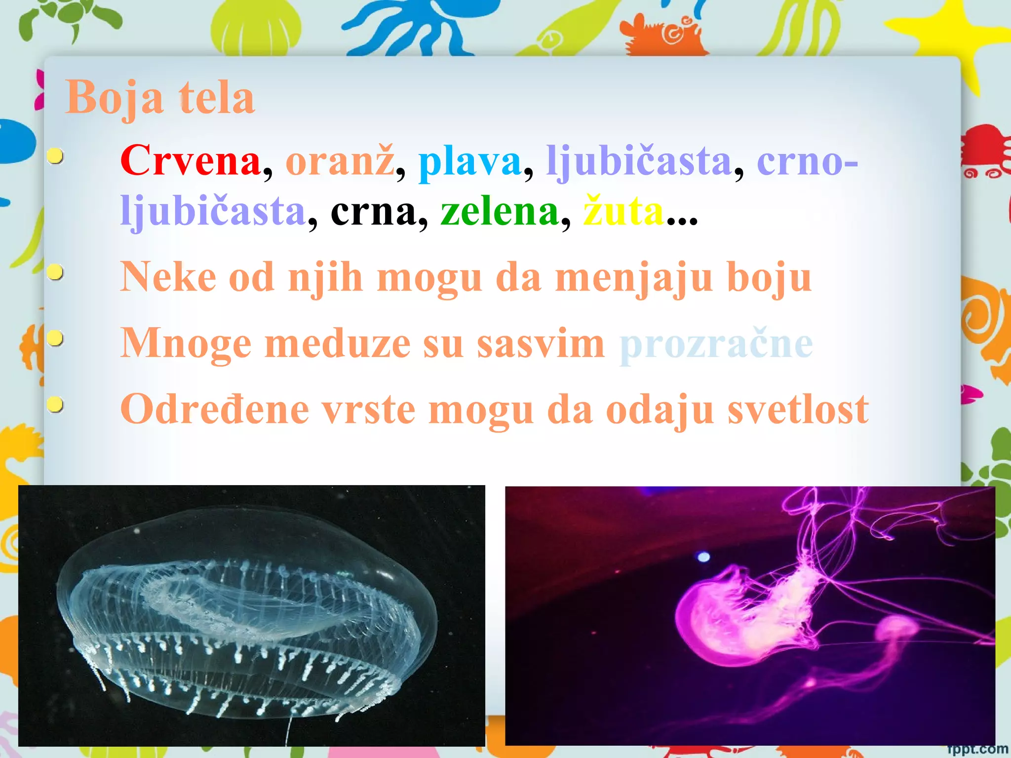 Boja tela
Crvena, oranž, plava, ljubičasta, crno-
ljubičasta, crna, zelena, žuta...
Neke od njih mogu da menjaju boju
Mnoge meduze su sasvim prozračne
Određene vrste mogu da odaju svetlost
 