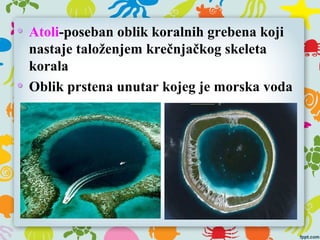 Atoli-poseban oblik koralnih grebena koji
nastaje taloženjem krečnjačkog skeleta
korala
Oblik prstena unutar kojeg je morska voda
 