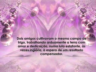 Dois amigos cultivavam o mesmo campo de
 trigo, trabalhando arduamente a terra com
amor e dedicação, numa luta estafante, às
   vezes inglória, à espera de um resultado
                compensador.
 