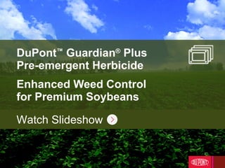 DuPont ™  Guardian ®  Plus  Pre-emergent Herbicide Enhanced Weed Control for Premium Soybeans Watch Slideshow 
