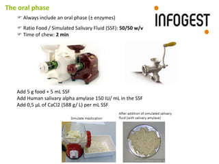 Static in vitro digestion method - INFOGEST, 2015 | PDF